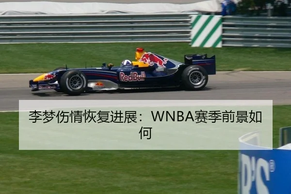 李梦伤情恢复进展：WNBA赛季前景如何
